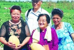 两位吃瓜教授娱乐圈