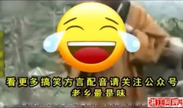 娱乐吃瓜视频配音素材,吃瓜视频配音素材背后的故事